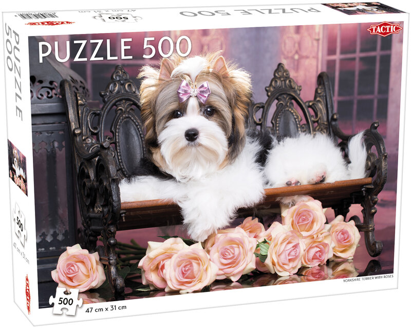 Yorkshire Terrier with Roses