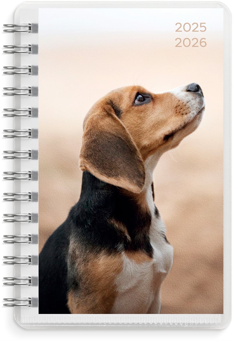 Kalender 25/26 Compact Pets