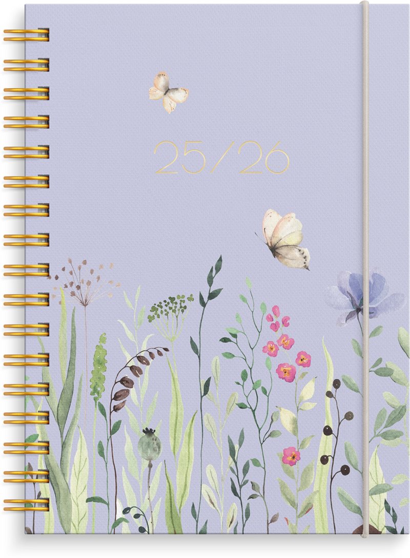 Kalender 25/26 Senator A6 Story Äng