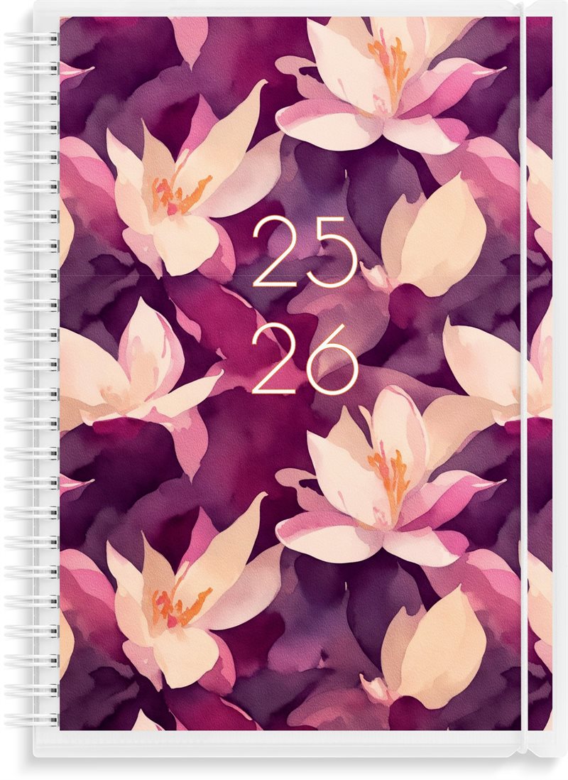 Kalender 25/26 Senator A5 4i1