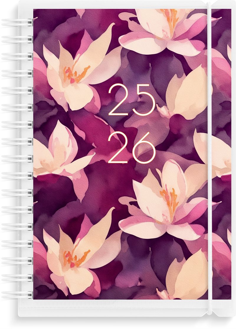 Kalender 25/26 Study A6 4i1