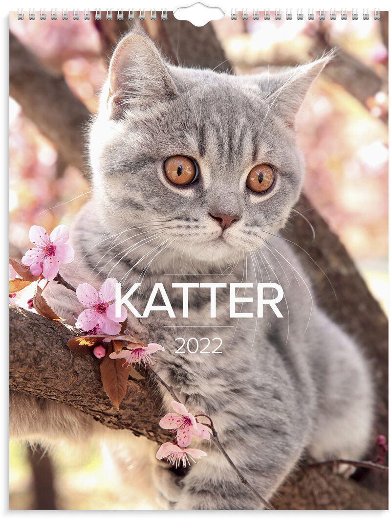 Stora Kattkalendern, FSC Mix