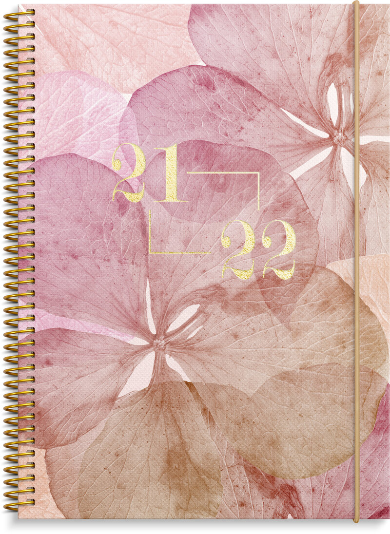 Senator A5, Story, Hortensia, FSC Mix