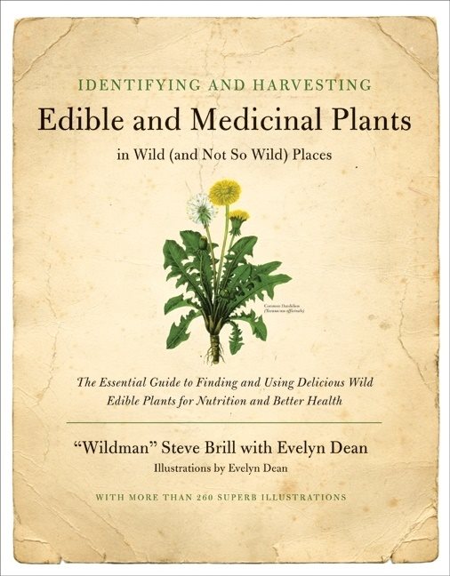 Identifying And Harvesting Edible And Medicinal Plants In Wi