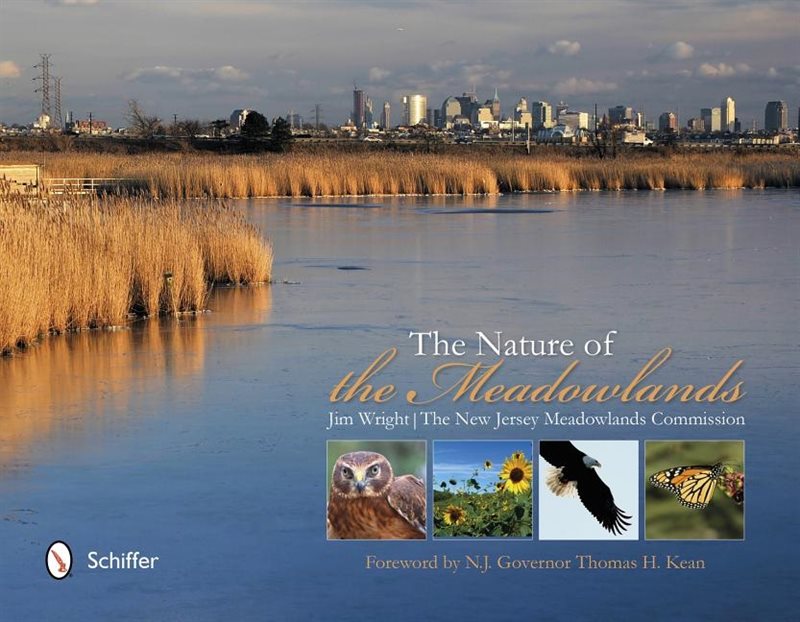 Nature of the meadowlands