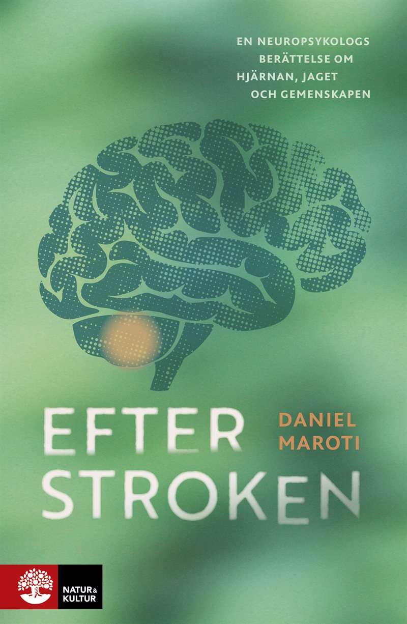 Efter stroken : En neuropsykologs berättelse om hjärnan, jaget och gemenskapen