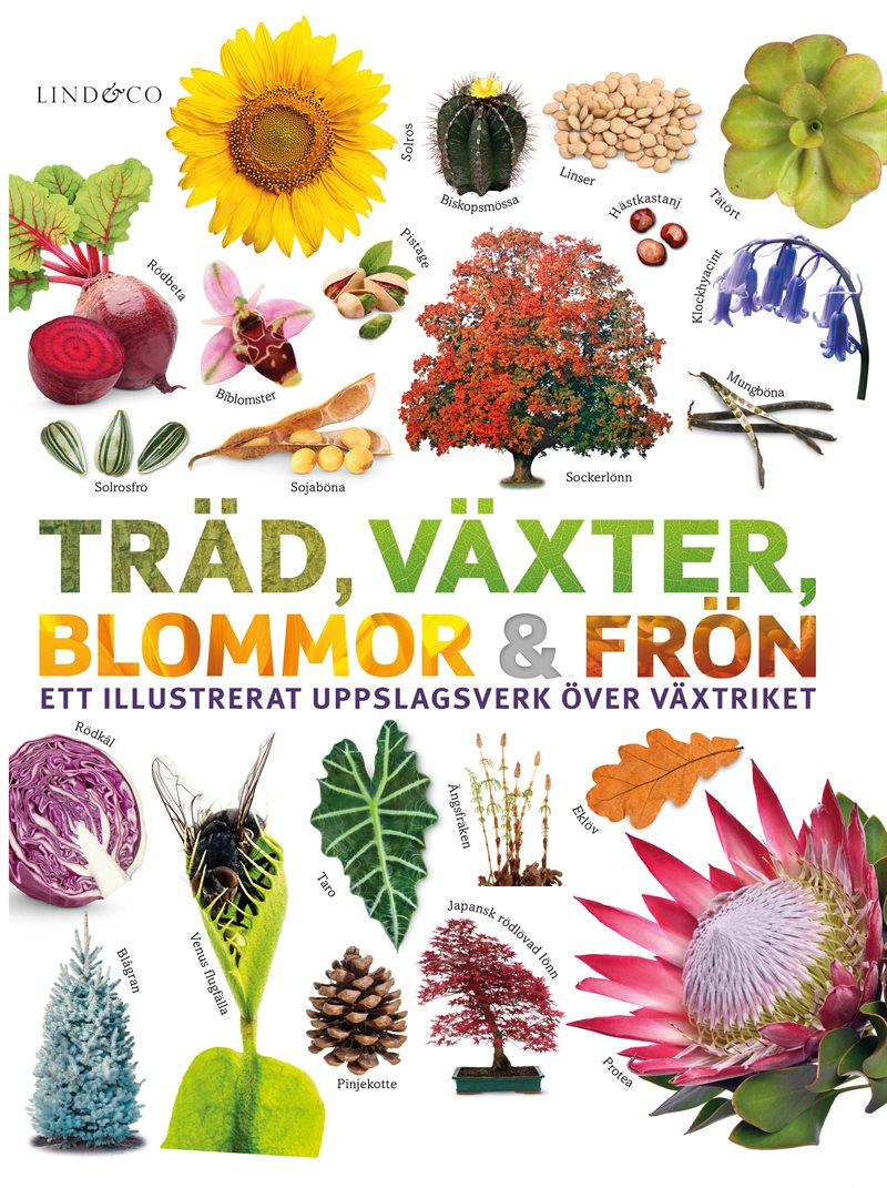 Träd, växter, blommor och frön : ett illustrerat uppslagsverk över växtriket