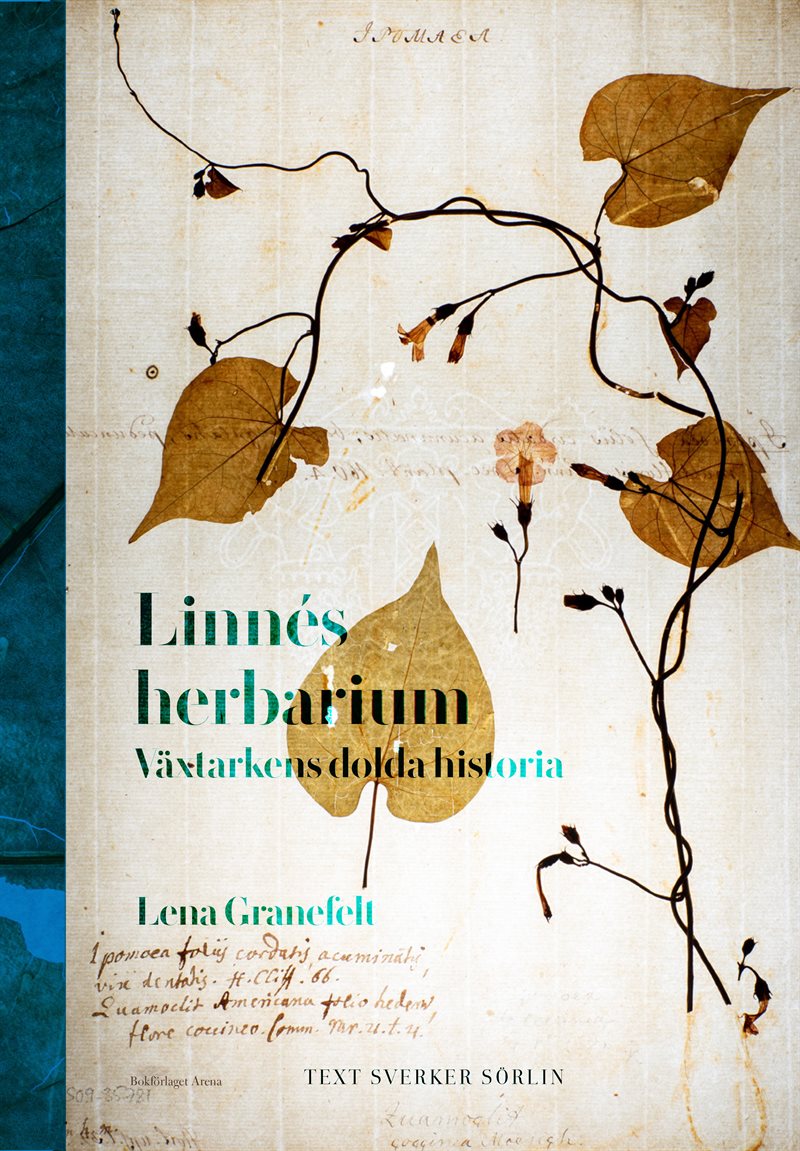 Linnés herbarium: växtarkens dolda historia