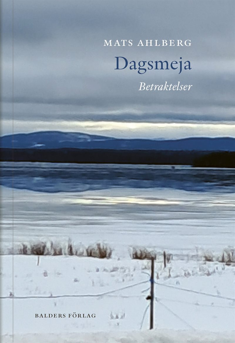 Dagsmeja : betraktelser