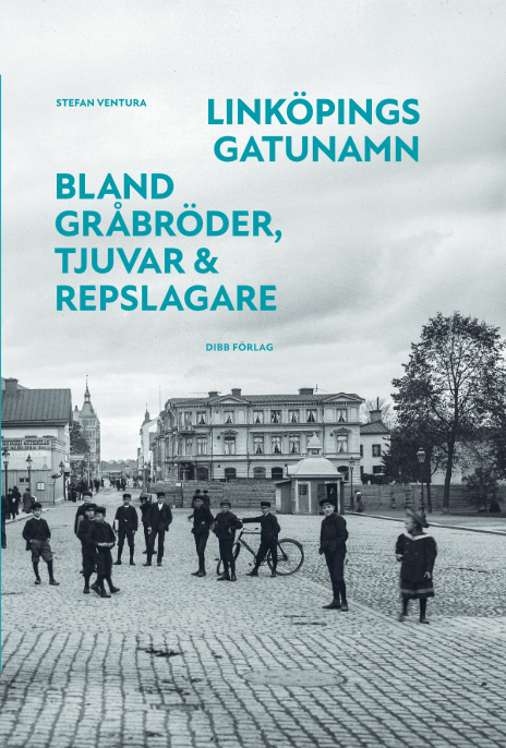 Linköpings gatunamn - Bland gråbröder, tjuvar & repslagare