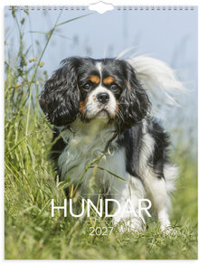 Väggkalender 2027 Stora Hundkalendern