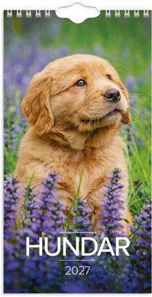 Väggkalender 2027 Liten Hundkalender