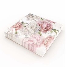 Matservetter 20p Pioner