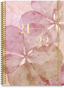Senator A5, Story, Hortensia, FSC Mix
