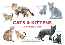 Cats & Kittens: A Memory Game